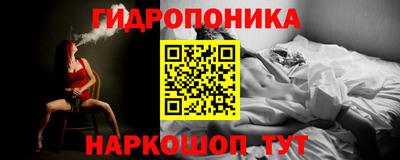 шишки Заводоуковск