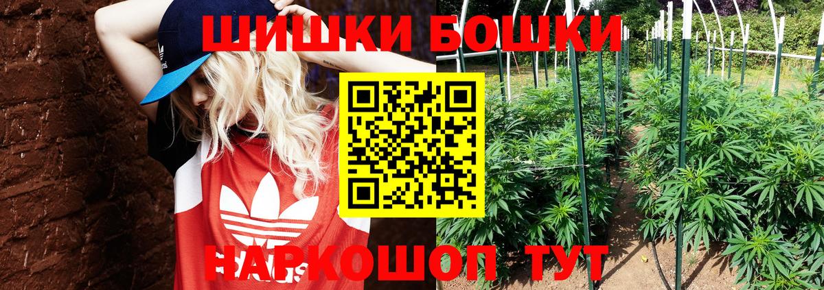 Каннабис OG Kush  Конопля конопля  Видное  Вход с VPN 